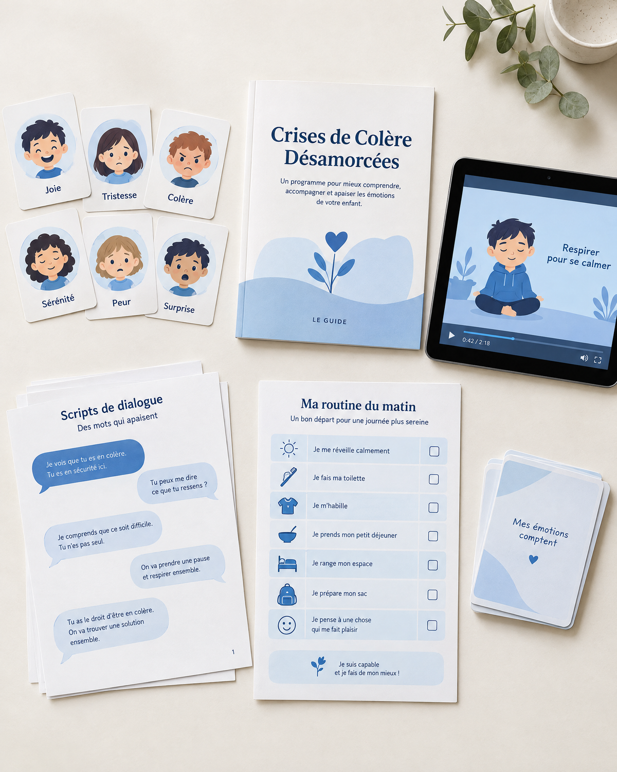 Crises de Colère Désamorcées