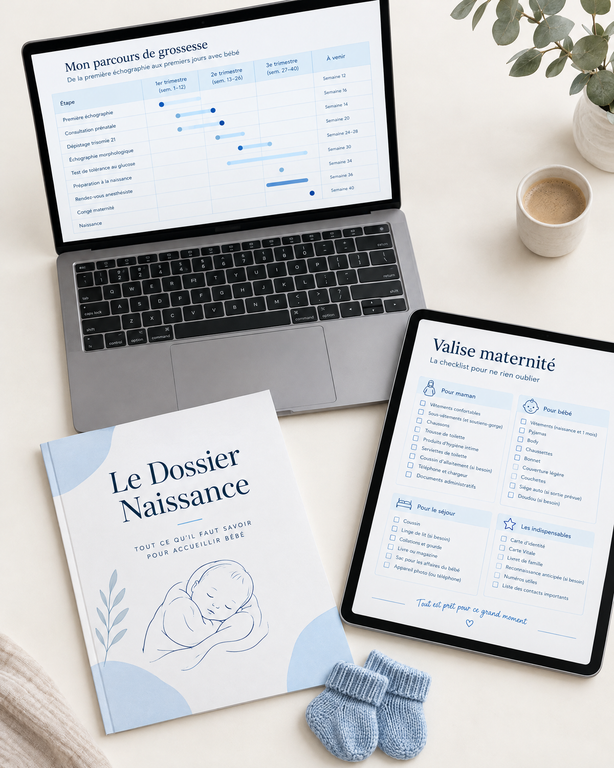 Le Dossier Naissance Suisse