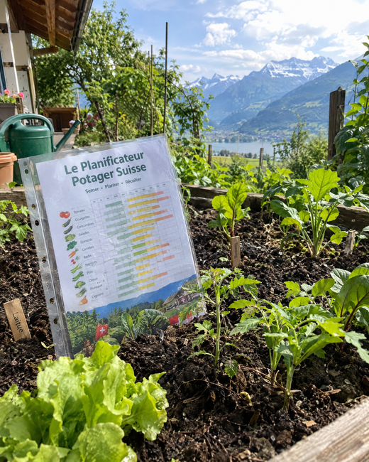 Le Planificateur Potager Suisse